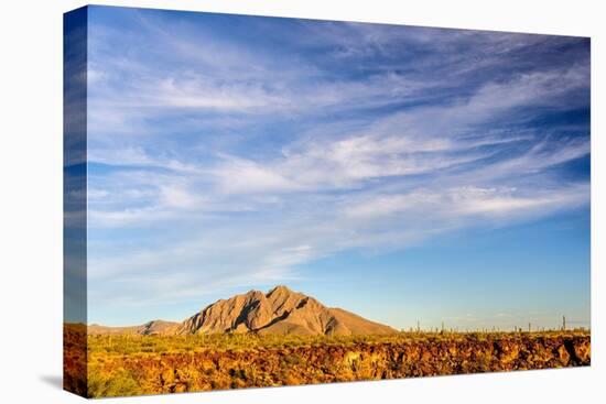 Mexico, Baja California Sur, Sierra de San Francisco. Landscape view from Rancho San Esteban.-Fredrik Norrsell-Premier Image Canvas