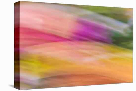 Mexico, Baja California, Tecate. Abstract Wash of Color Patterns-Don Paulson-Premier Image Canvas