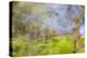 Mexico, Baja California, Tecate. Blur of Rancho La Puerta Scene-Don Paulson-Premier Image Canvas