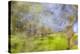 Mexico, Baja California, Tecate. Blur of Rancho La Puerta Scene-Don Paulson-Premier Image Canvas