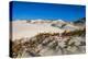 Mexico. Baja, Gulf of California, Magdalena Beach. Sand dunes.-Janet Muir-Premier Image Canvas