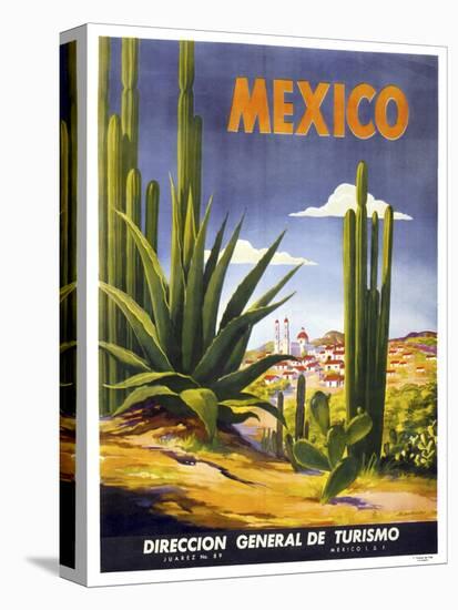 Mexico Cactus-null-Premier Image Canvas