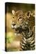 Mexico, Panthera Onca, Jaguar Portrait-David Slater-Premier Image Canvas