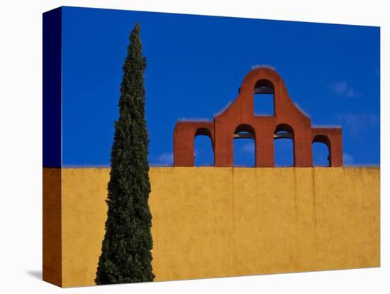 Mexico, San Miguel de Allende, Blue sky, city wall and Cypress Tree-Terry Eggers-Premier Image Canvas