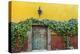 Mexico, San Miguel de Allende. Doorway to colorful building.-Don Paulson-Premier Image Canvas