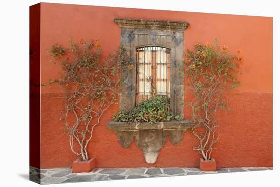 Mexico, San Miguel de Allende. Scenic of window and plants.-Don Paulson-Premier Image Canvas