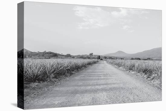 Mexico-PhotoINC Studio-Premier Image Canvas