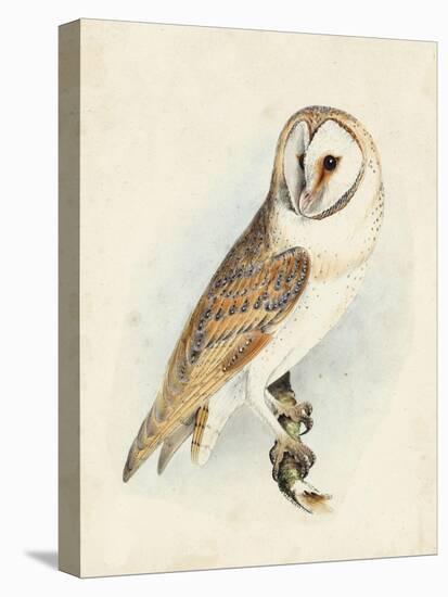 Meyer Barn Owl-H. l. Meyer-Stretched Canvas