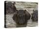 Mi Familia II-Art Wolfe-Premier Image Canvas