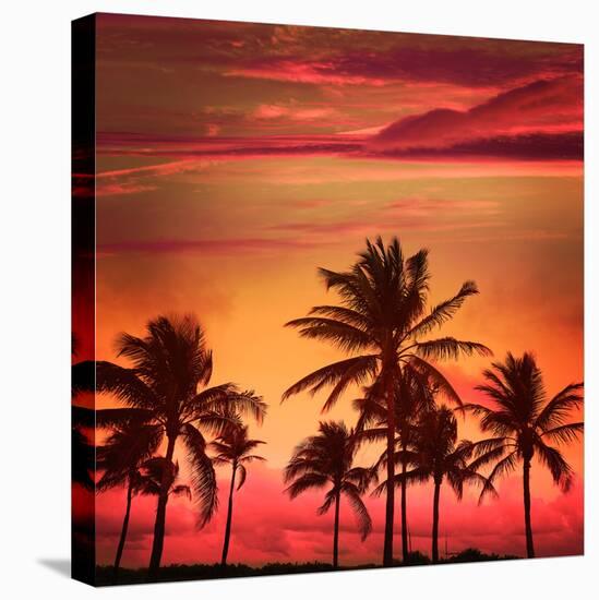 Miami Beach South Beach Sunset Palm Trees in Ocean Drive Florida-holbox-Stretched Canvas