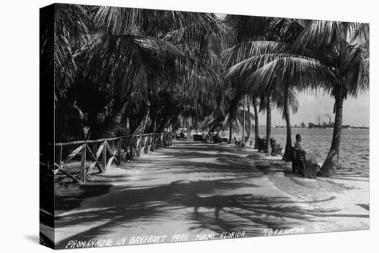 Miami, Florida - Bayfront Park Promanade Scene-Lantern Press-Stretched Canvas