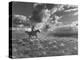 Michael Brennan on Ranch Horseback Riding-J^ R^ Eyerman-Premier Image Canvas
