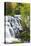 Michigan, Ontonagon County, Bond Falls-Jamie & Judy Wild-Premier Image Canvas