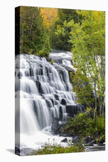 Michigan, Ontonagon County, Bond Falls-Jamie & Judy Wild-Premier Image Canvas