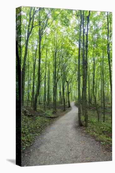 Michigan, Pictured Rocks National Lakeshore, trail to Miners Falls-Jamie & Judy Wild-Premier Image Canvas