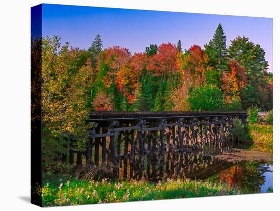 Michigan Rail Bridge-Steven Maxx-Premier Image Canvas