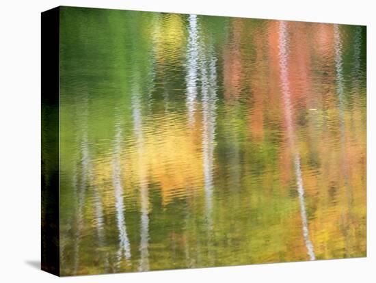 Michigan, Upper Peninsul. Reflection of Blurred Autumn Woodland-Julie Eggers-Premier Image Canvas