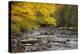 Michigan, Upper Peninsula. Autumn-Colored Trees Along Sturgeon River-Don Grall-Premier Image Canvas
