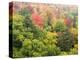 Michigan, Upper Peninsula. Colorful Autumn Tree Scenic-Julie Eggers-Premier Image Canvas