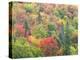 Michigan, Upper Peninsula. Colorful Autumn Tree Scenic-Julie Eggers-Premier Image Canvas