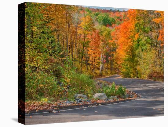 Michigan, Upper Peninsula. Road Through Hardwood Forest in Autumn-Julie Eggers-Premier Image Canvas