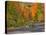 Michigan, Upper Peninsula. Road Through Hardwood Forest in Autumn-Julie Eggers-Premier Image Canvas