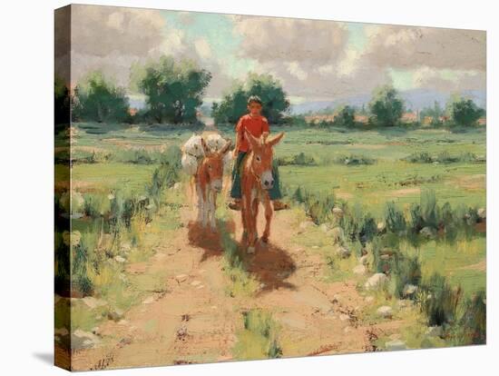 Michoacan-Roger Williams-Stretched Canvas