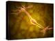 Microscopic View of a Bipolar Neuron-Stocktrek Images-Premier Image Canvas