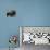 Microscopic View of Ladybug-Jim Zuckerman-Premier Image Canvas displayed on a wall