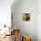 Mid Century Decorative Geometry II-Eline Isaksen-Stretched Canvas displayed on a wall