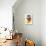 Mid Century Floating Bowls III-Eline Isaksen-Stretched Canvas displayed on a wall