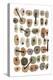 Mid Century II Warm Neutral Vertical-Cheryl Warrick-Premier Image Canvas