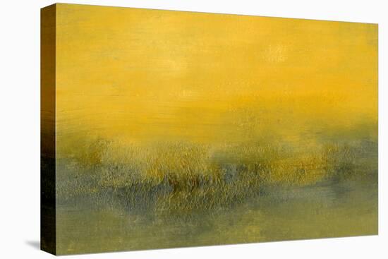 Mid Day II-Sharon Gordon-Stretched Canvas