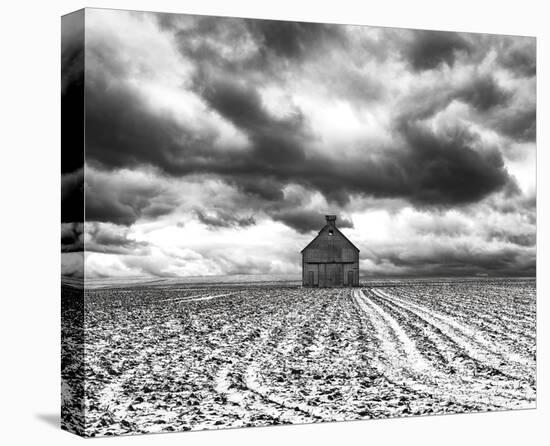 Mid Winter Storm-Trent Foltz-Stretched Canvas