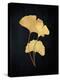 Midas Ginko 2-Marcus Prime-Stretched Canvas
