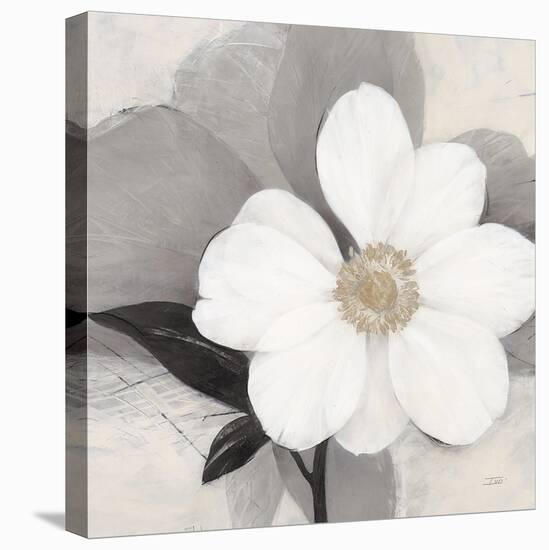 Midday Bloom-Ivo (Lipman)-Stretched Canvas