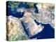 Middle East, Satellite Image-PLANETOBSERVER-Premier Image Canvas