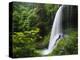 Middle North Falls, Silver Falls State Park, Oregon, USA-Adam Jones-Premier Image Canvas