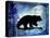 Midnight Bear-LightBoxJournal-Premier Image Canvas