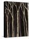Midnight Birches I-Jade Reynolds-Stretched Canvas