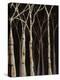 Midnight Birches II-Jade Reynolds-Stretched Canvas