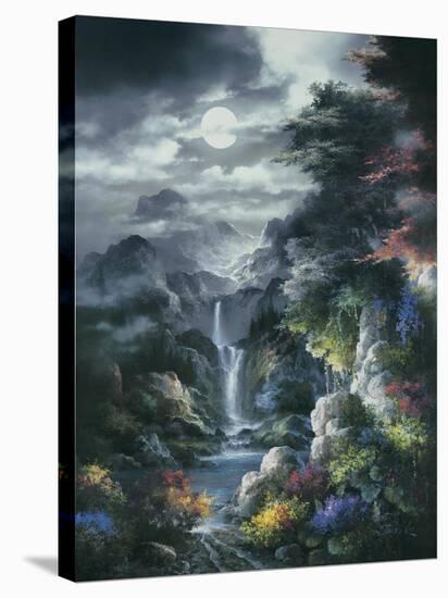 Midnight Mist Canyon-James Lee-Stretched Canvas