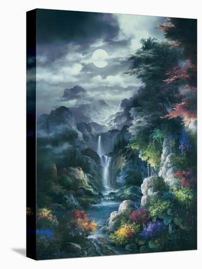 Midnight Mist Canyon-James Lee-Stretched Canvas