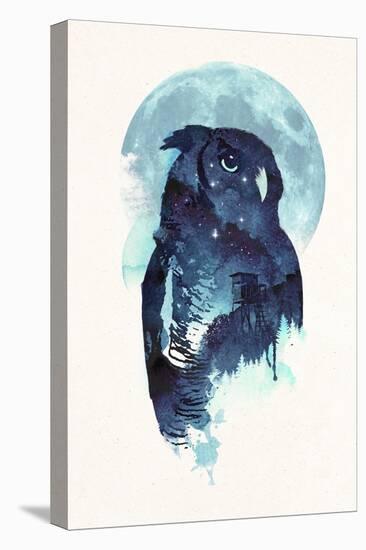 Midnight Owl-Robert Farkas-Premier Image Canvas