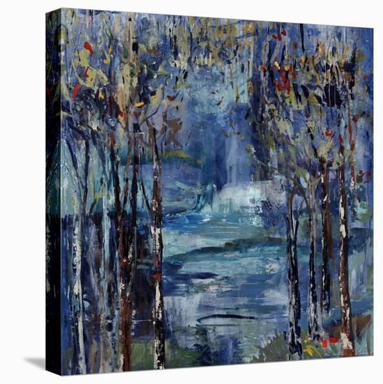 Midnite Dreamer-Jodi Maas-Premier Image Canvas