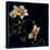 Midsummer Night Bloom III-Douglas-Stretched Canvas