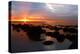 Midsummer sunset over The Wash from the beach at Hunstanton, north Norfolk-Geraint Tellem-Premier Image Canvas