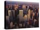 Midtown and Upper Manhattan, NY-Rudi Von Briel-Premier Image Canvas