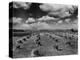 Midwestern Wheat Field at Harvest Time-Bettmann-Premier Image Canvas