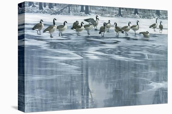 Midwinter Thaw-Wilhelm Goebel-Premier Image Canvas